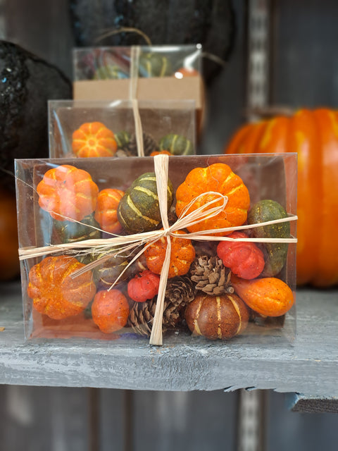 Halloween Mini Pumpkins in a Box