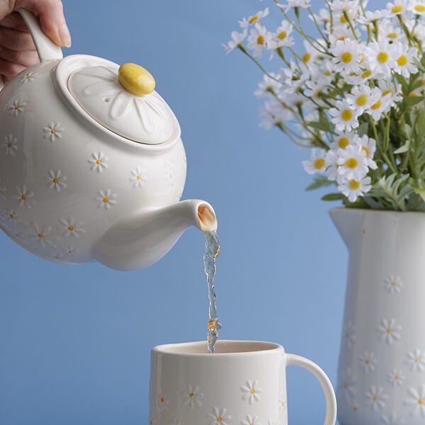 PRICE & KENSINGTON Daisy 6 Cup Teapot 1100ml