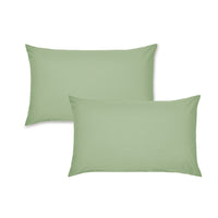 CATHERINE LANSFIELD Housewife Easy Iron Percale Standard Pillowcase Pair - Sage