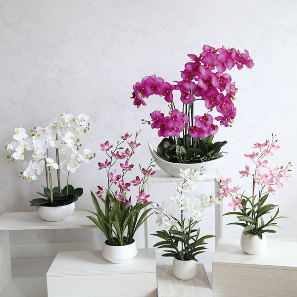 STRAITS Cattleya Orchid White 54cm