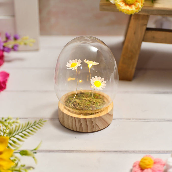 LANGS LED glass Egg Dome with 3 Daisies Ornament 13cm
