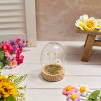 LANGS LED glass Egg Dome with 3 Daisies Ornament 13cm