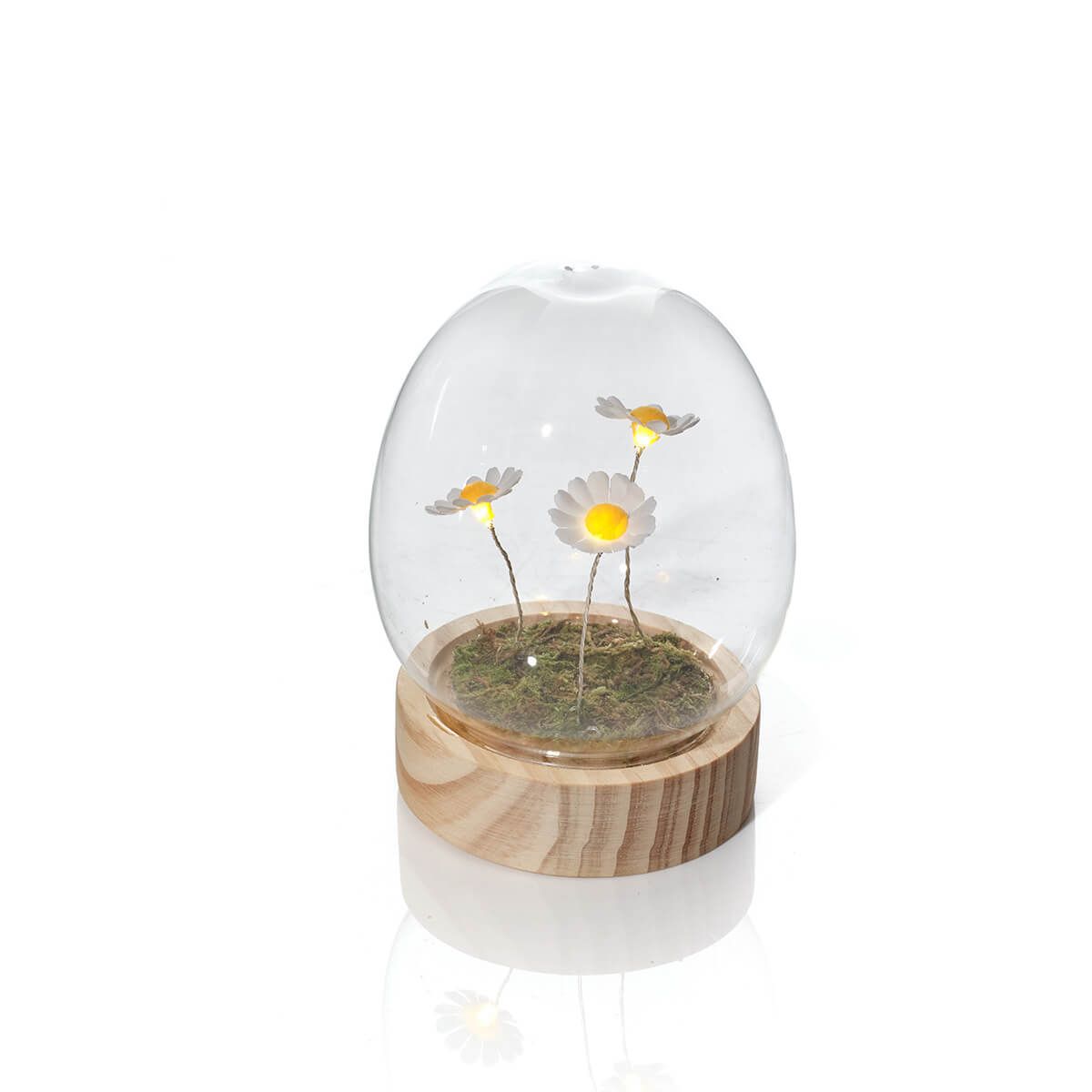 LANGS LED glass Egg Dome with 3 Daisies Ornament 13cm