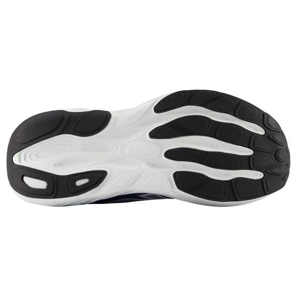 NEW BALANCE Women's Fresh Foam X 880v15 Shoes - Blue