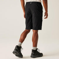 REGATTA Men's Highton II Long Walking Shorts - Black