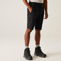 REGATTA Men's Highton II Long Walking Shorts - Black