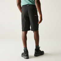 REGATTA Men's Highton II Long Walking Shorts - Grey