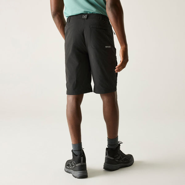 REGATTA Men's Highton II Long Walking Shorts - Grey