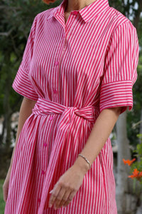 RANT & RAVE Alicia Striped Shirt Dress - Pink