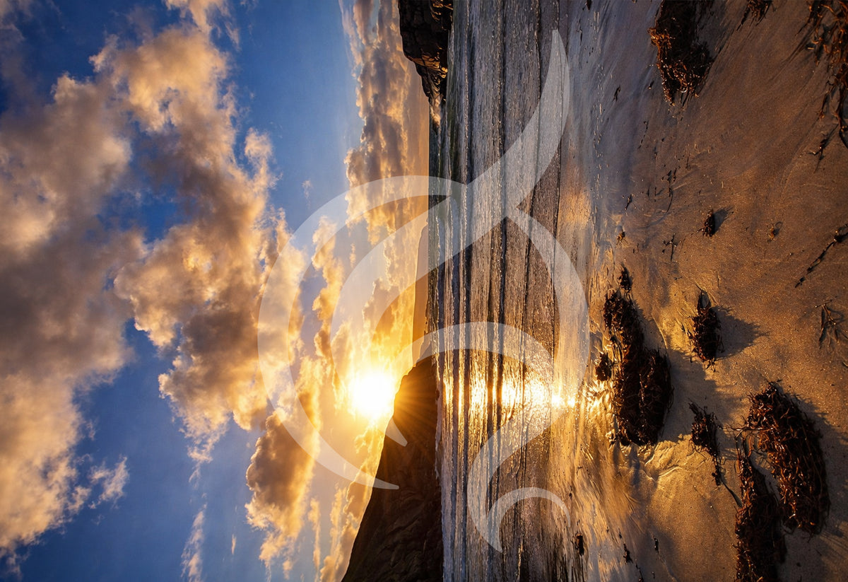 TAOIDE A3 Photographic Prints