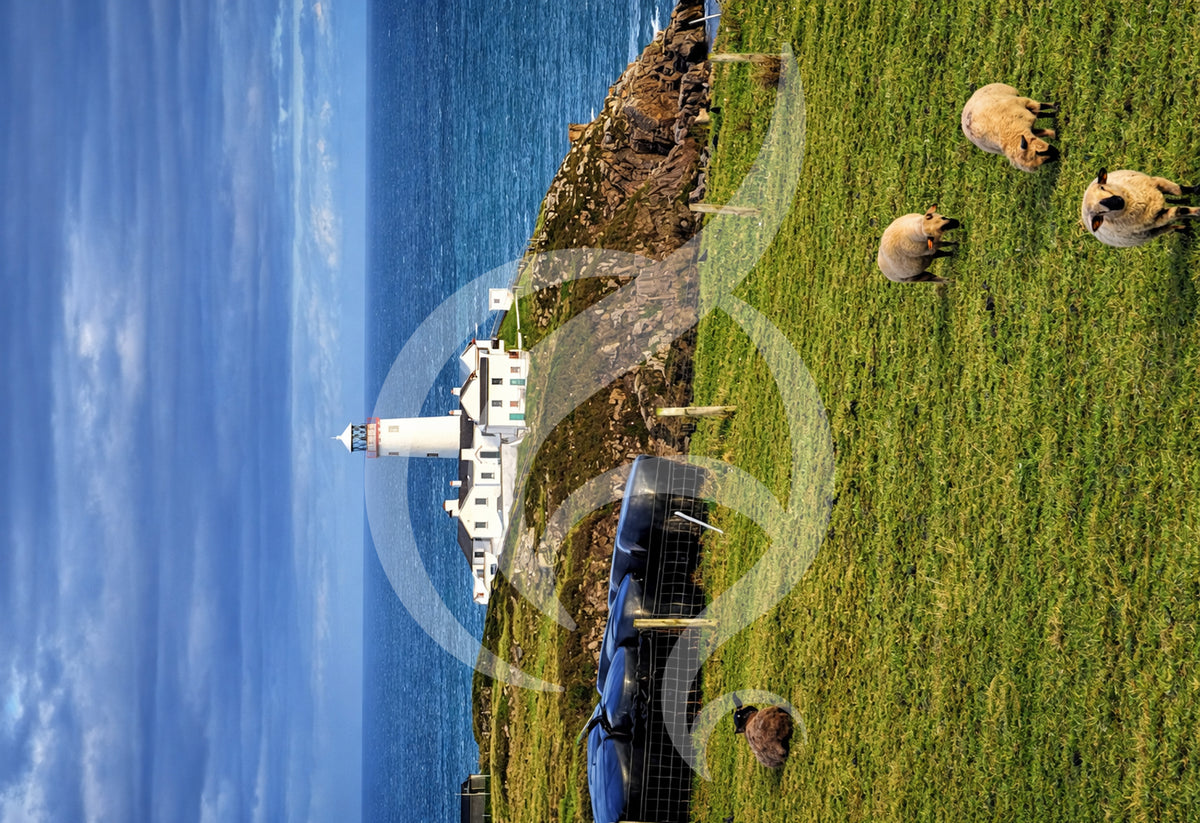 TAOIDE A3 Photographic Prints