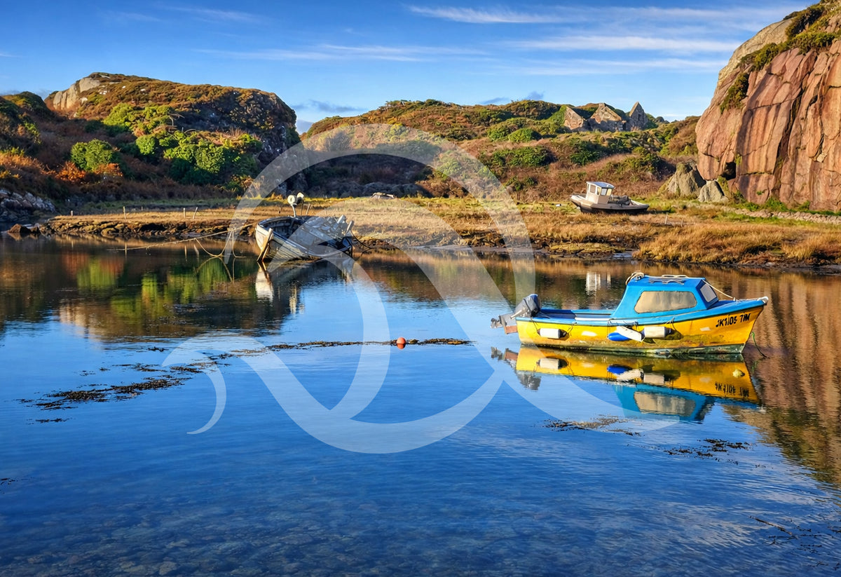 TAOIDE A3 Photographic Prints