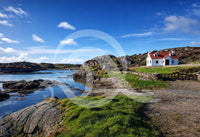 TAOIDE A3 Photographic Prints