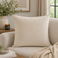 FULLSHIRE Velvet Piped Cushion - Natural 55x55cm