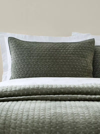 BIANCA Attica Velvet Embroidered Pillow sham - Pair 50x75cm - Green