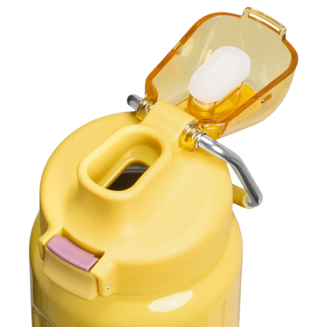 STANLEY Classic Wellspring Water Bottle | 0.71L - Dijon Gloss