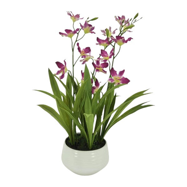 STRAITS Cattleya Orchid 67cm
