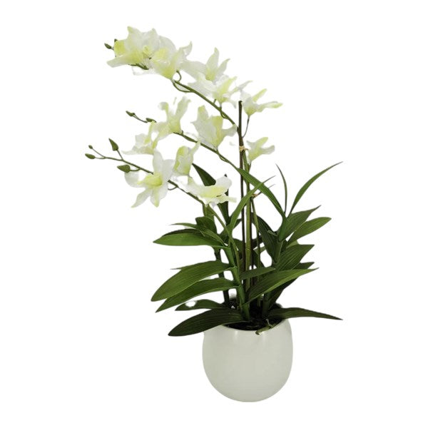 STRAITS Cattleya Orchid White 54cm