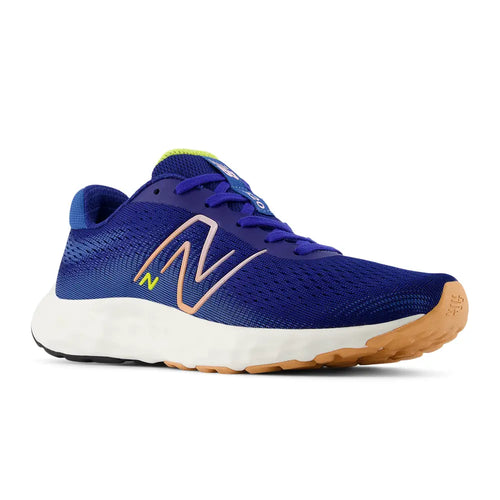 NEW BALANCE 520v8 Women's Runners - Blue