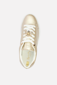 LLOYD & PRYCE by Tommy Bowe Cavina Trainer - Gold