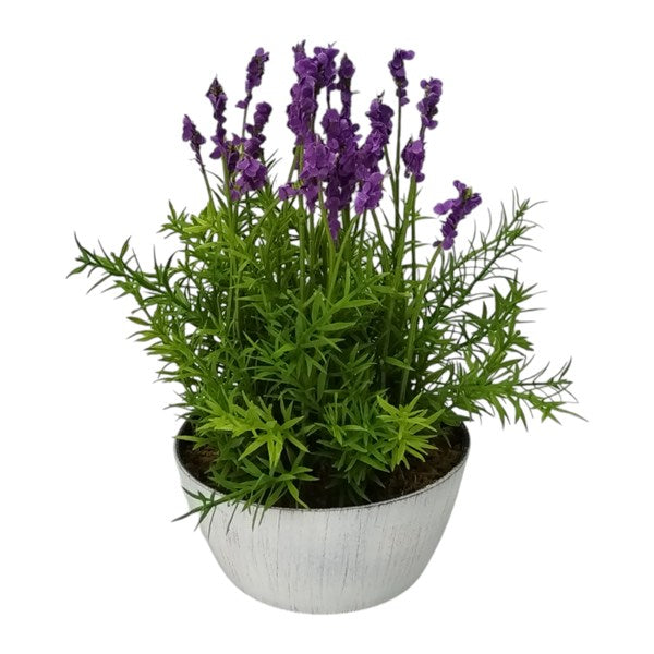 STRAITS Potted Lavender 17x30cm