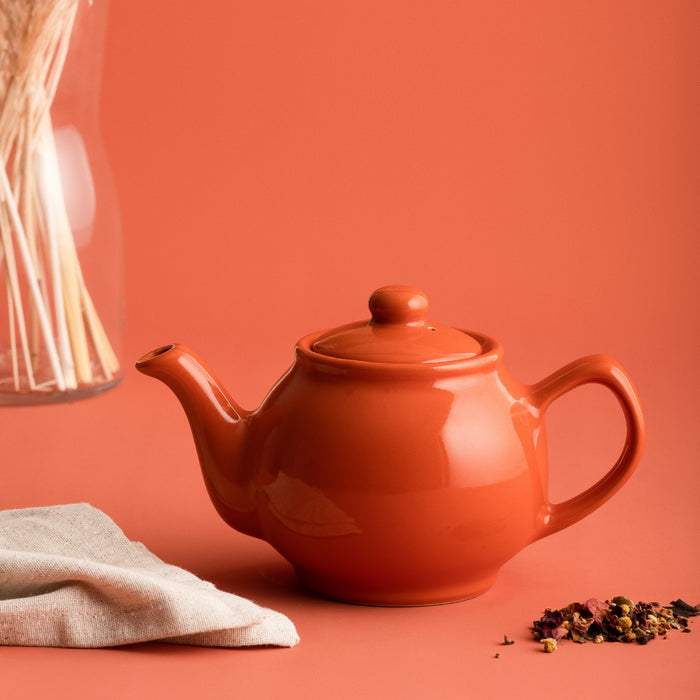PRICE & KENSINGTON Burnt Orange 2 Cup Teapot 450ml