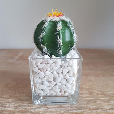 Miniature Glass Succulent With Green Cacti
