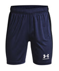 Under Armour: Challenger Shorts