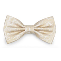 ZAZZI :  Cream Pattern Bow Tie